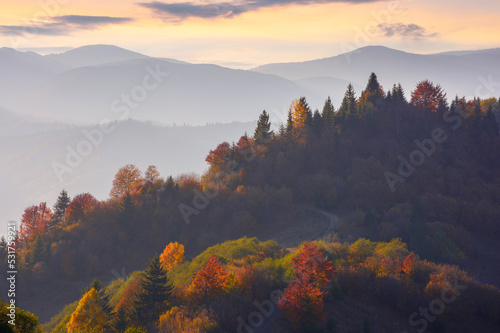 trees in colorful foliage on the rolling hills. borzhava mountain ridge in the distance. wonderful landscape at sunset in autumn