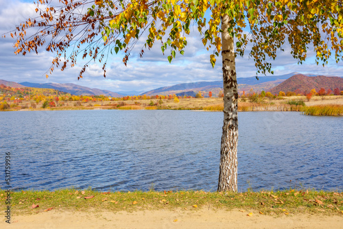 trees in colorful foliage on the shore. countryside scenery on the lake in autumn. sunny weather in fall season