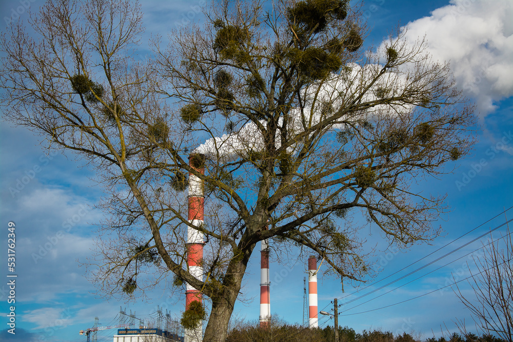 ocieplenie klimatu