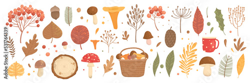 Autumn set. Collection of hand drawn fallen leaves, vegetables, berries, acorns, forest mushrooms, tree branches isolated on white background. Elegant seasonal vector illustration in realistic style