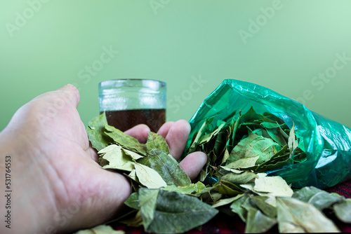 Coca leaves, traditional acullico with the coca leaf accompanied by burnt water, alcohol, Aymara and Inca indigenous fabric. The palm of the hand full of coca leaves. Traditional use of coca in the An photo