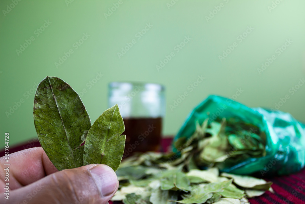 Fotka „Coca leaf, traditional acullico with the coca leaf by burnt water, alcohol