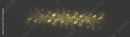 Fine, shiny dust bokeh particles fall off slightly. Blur sparks and golden stars sparkle shine with special light. Blurred lights isolated on transparent background. Christmas concept. Vector