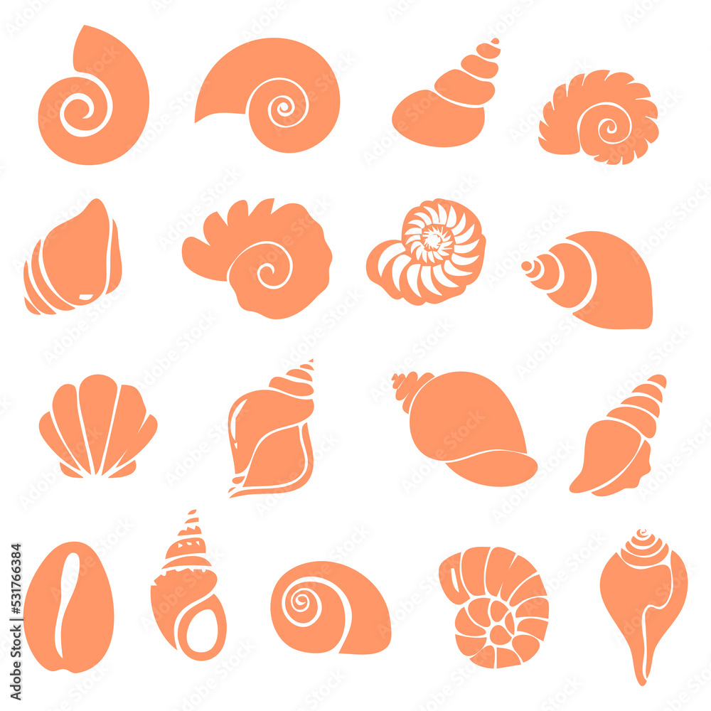 Set of sea shells on the white background