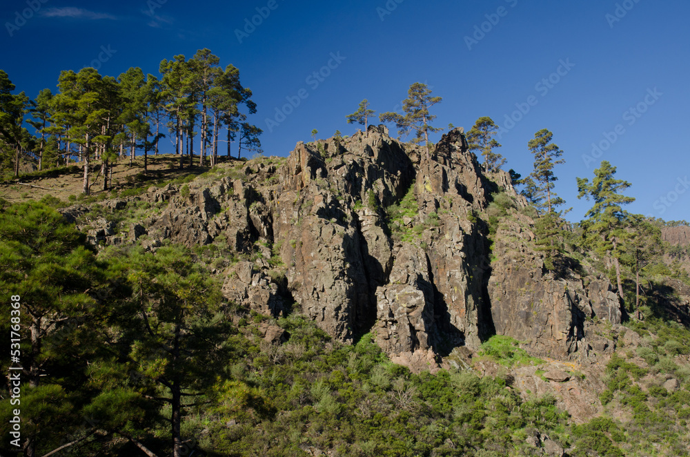 Cliff in the Integral Natural Reserve of Inagua. Gran Canaria. Canary Islands. Spain.