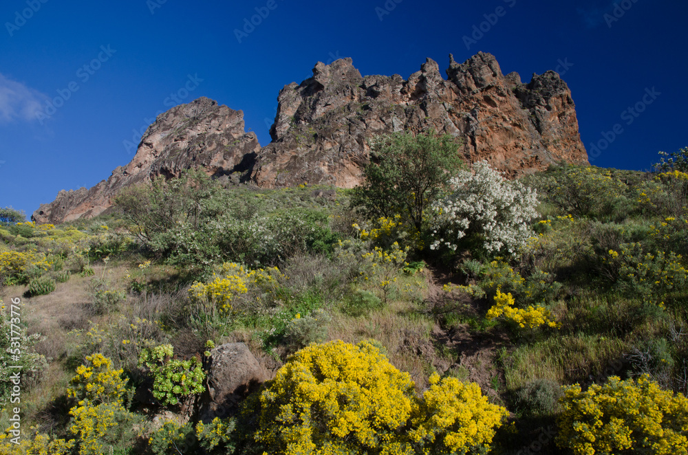 Chirimique cliff in The Nublo Rural Park. Tejeda. Gran Canaria. Canary Islands. Spain.