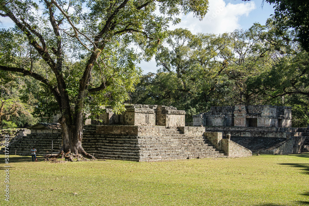 View of the Ball Court at the Copan Mayan Ruins, Copan Ruinas, Honduras