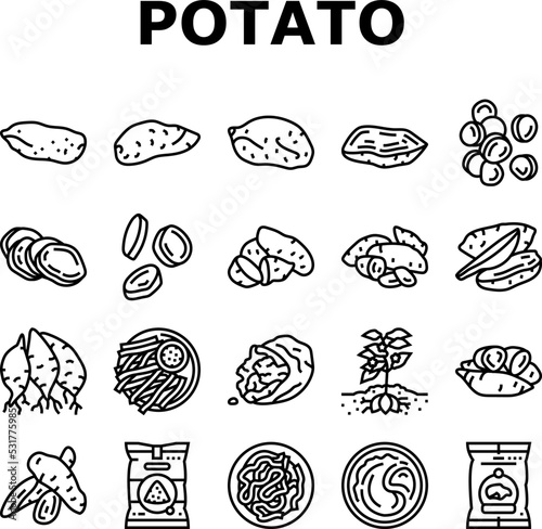 potato sweet food yam orange icons set vector. vegetable root, healthy red organic, raw slice diet cut, ingredient yellow tuber top potato sweet food yam orange black contour illustrations