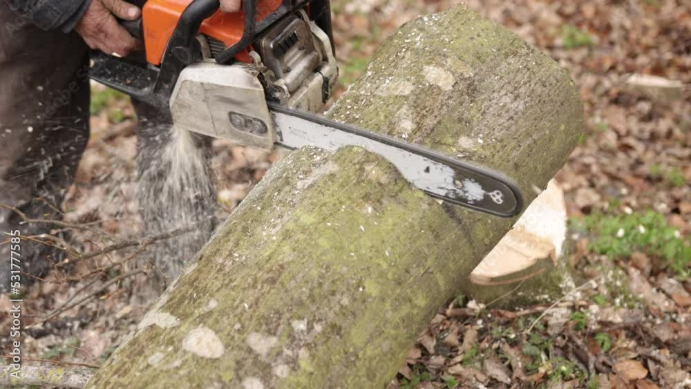 Chainsaw in action cutting wood. Man carving wood with a saw, dust and movements. Lumberjack chopping tree. Man cut trees using an electrical chainsaw. Lumberjack. Cutting tree.