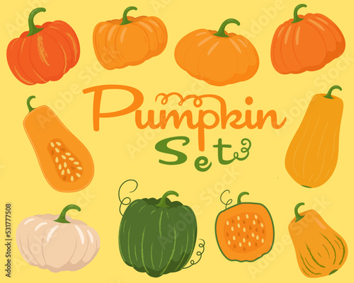 Autumn pumpkin set in various shapes and colours. Vector illustration. photo