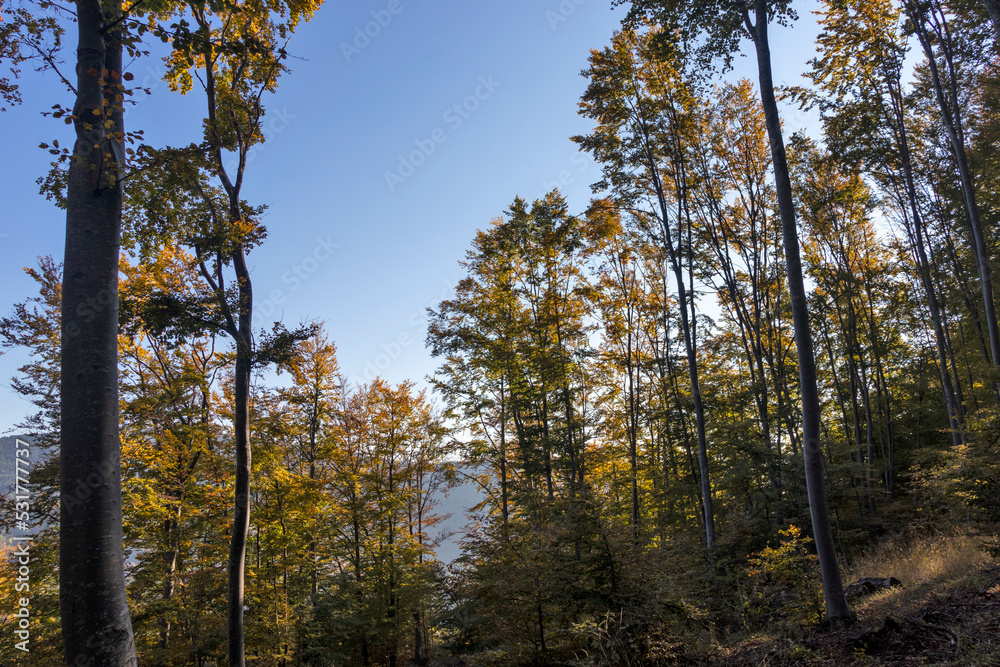 Amazing Autumn Landscape of Erul mountain, Bulgaria