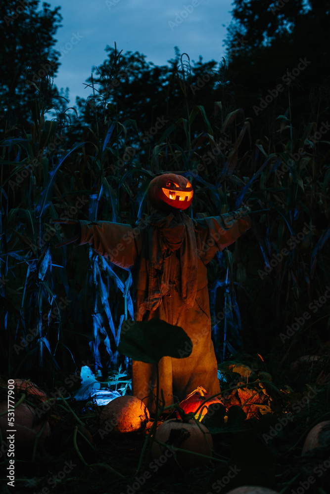 Scary pumpkin scarecrow in a cornfield at night. Halloween holiday concept.