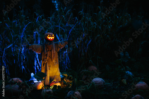 Scary pumpkin scarecrow in a cornfield at night. Halloween holiday concept.