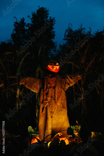 Scary pumpkin scarecrow in a cornfield at night. Halloween holiday concept. photo