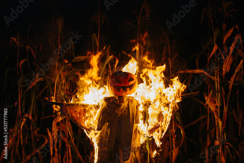 Valokuva Burning Halloween Scarecrow in a cornfield at night
