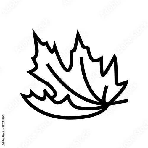 leaf maple autumn line icon vector. leaf maple autumn sign. isolated contour symbol black illustration
