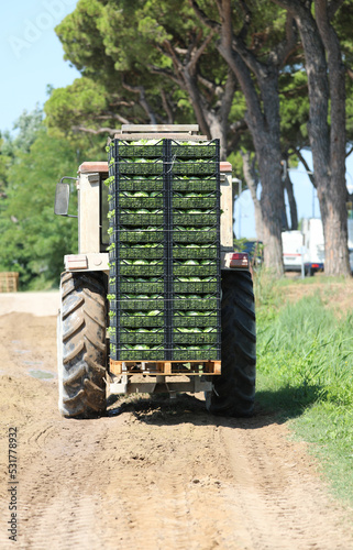 tractor with many boxes with freshly picked lettuce from the field ready to be taken to the market photo