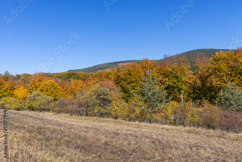 Amazing Autumn Landscape of Erul mountain, Bulgaria