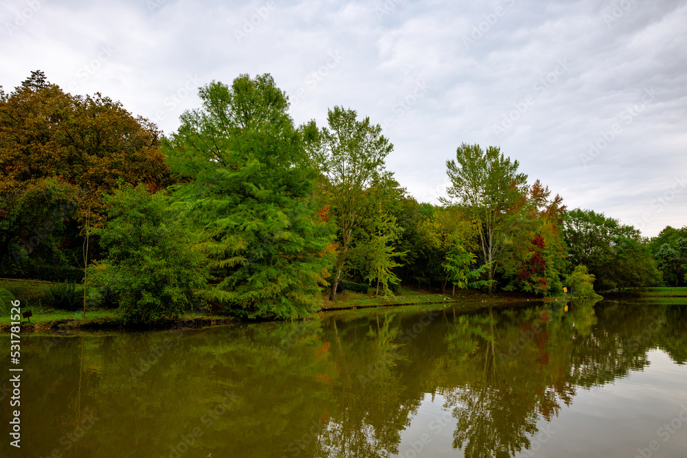 Fall view. Pond in the forest at autumn. Ataturk Arboretum in Istanbul