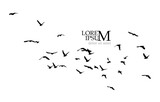 A flock of flying birds. Free birds. Vector illustration