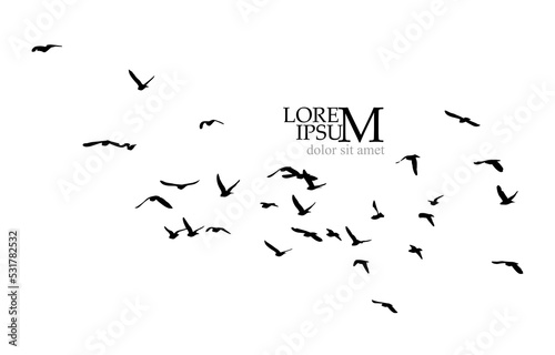 A flock of flying birds. Free birds. Vector illustration © Мария Неноглядова