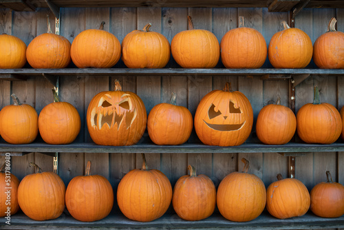 Geschnitzter Kürbis zwischen Halloween Kürbissen als Hintergrund