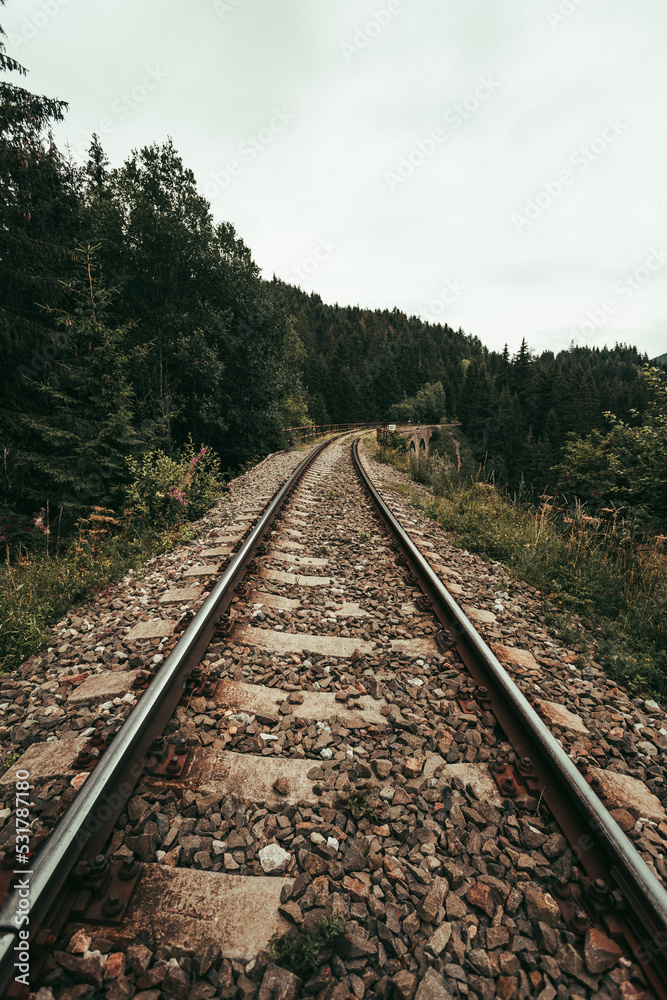 Photo of train rails in country landscape in the middle of forest with trees on background. Train rails crossing dark and old forest in Europe. Vintage photo of rails. Photo of train rails in country landscape in the middle of forest with trees on background. Train rails crossing dark and old forest in Europe. Vintage photo of rails.