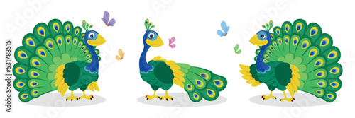 Vector illustration of a cute and beautiful peacock on white background. Charming characters in different poses stand spread out and folded tail in cartoon style.