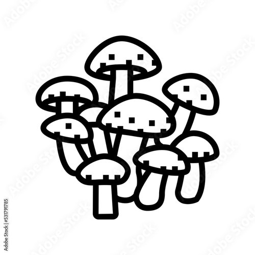 shiitake mushroom line icon vector. shiitake mushroom sign. isolated contour symbol black illustration