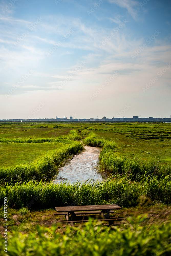 Obraz premium landscape with river