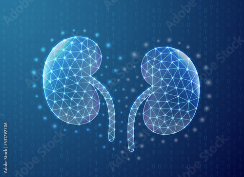 Kidneys polygonal symbol with binary code background. Urinary concept design illustration. Blue Organ anatomy low poly symbol with connected dots