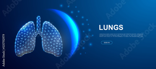 Lungs 3d polygonal symbol for website template. Low poly Organ illustration for promo banner design. Respiratory system design illustration concept.