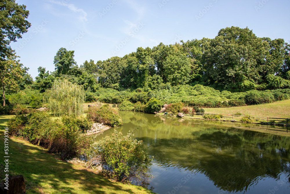 A park in the lake 