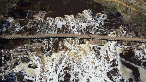 water flowing through the tree