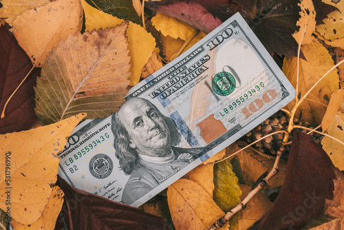 One hundred dollar bill lies on wet autumn leaves