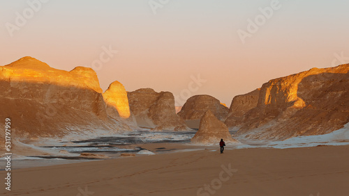 Fototapeta Naklejka Na Ścianę i Meble -  Limestone formations in the Black and White Desert at sunset. Egypt.