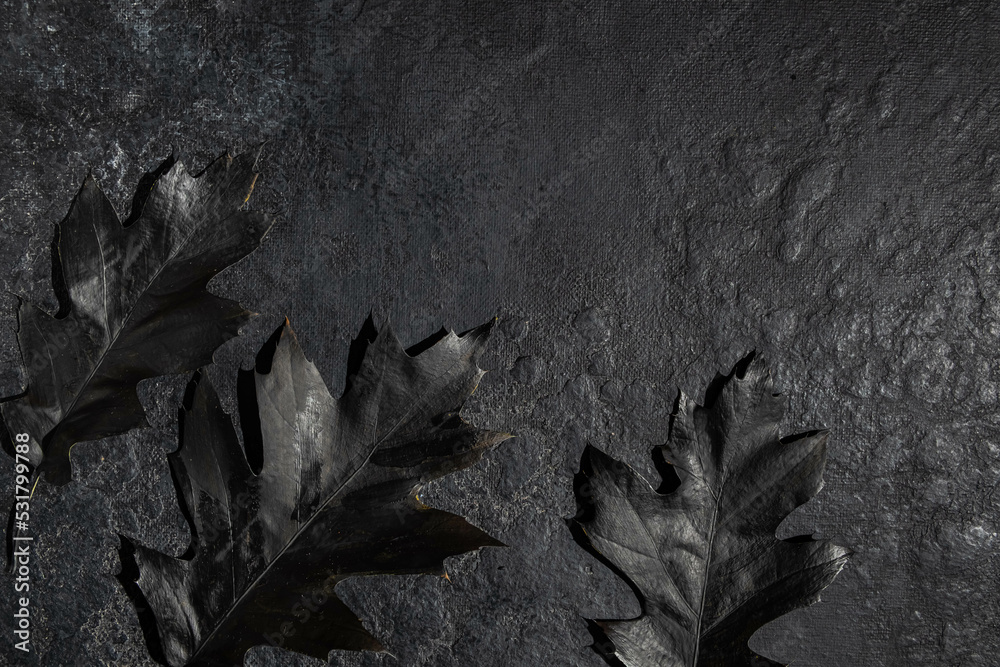 Painted fall oak leaves on a black background. halloween concept