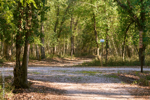 Walking path at Selva del Circeo Natural Reserve, Circeo National Park, Italy