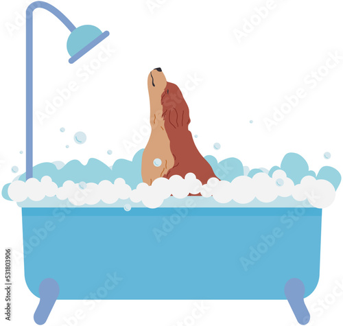 Dog bathing in bathtub with soapy foam wash under shower. Cute doggy with spa and salon theme in flat vector style about pet grooming for graphic content, banner, greeting card. Pet, animal in bath