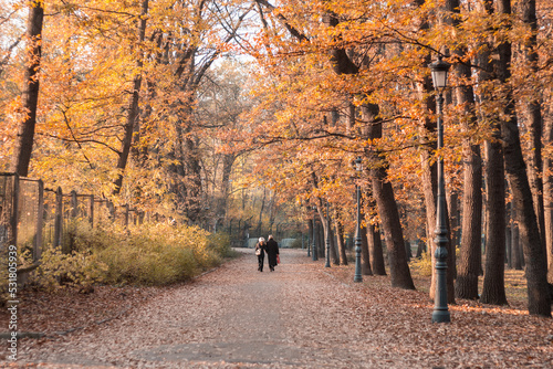 Couple having a walk in Borisova gradina park in Sofia, Bulgaria photo