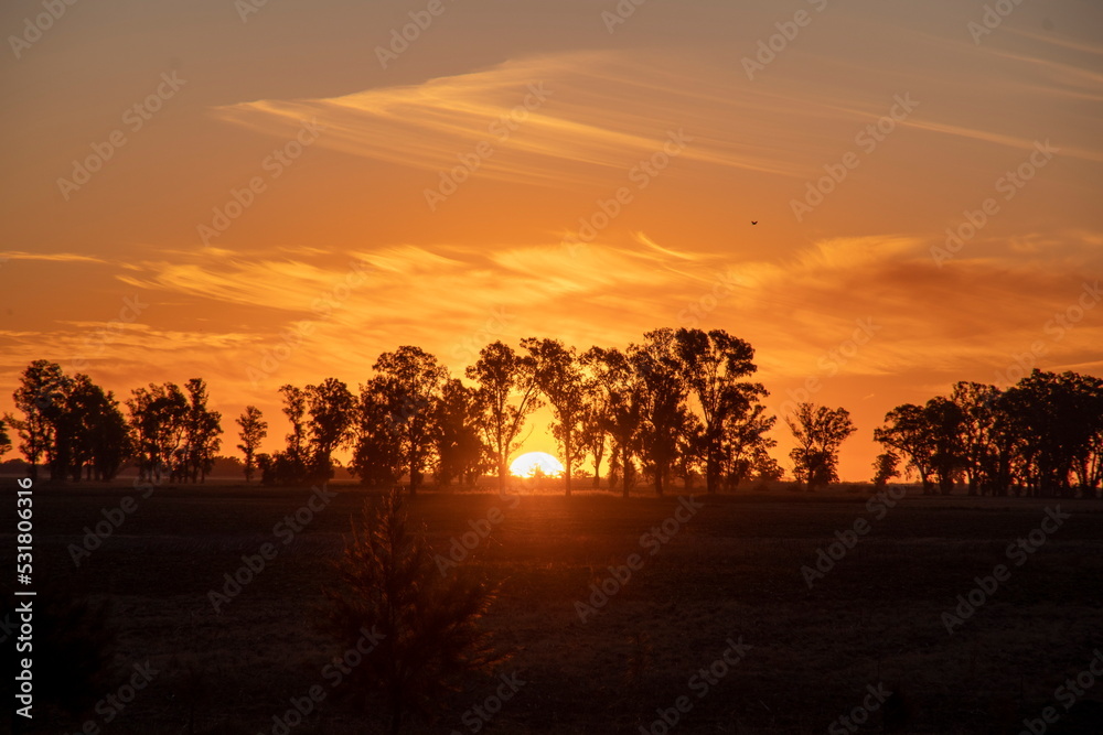 Obraz premium Atardecer en el campo
