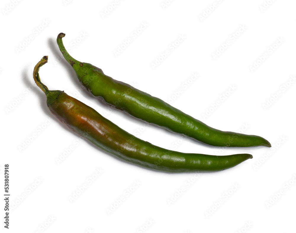 Fresh green chili peppers. Spicy vegetable isolate. Peppers on a white background. Ingredient for dishes. The concept of spicy food. Fresh chili pepper. Harvesting vegetables for seasonings. Fresh green chili peppers. Spicy vegetable isolate. Peppers on a white background. Ingredient for dishes. The concept of spicy food. Fresh chili pepper. Harvesting vegetables for seasonings.