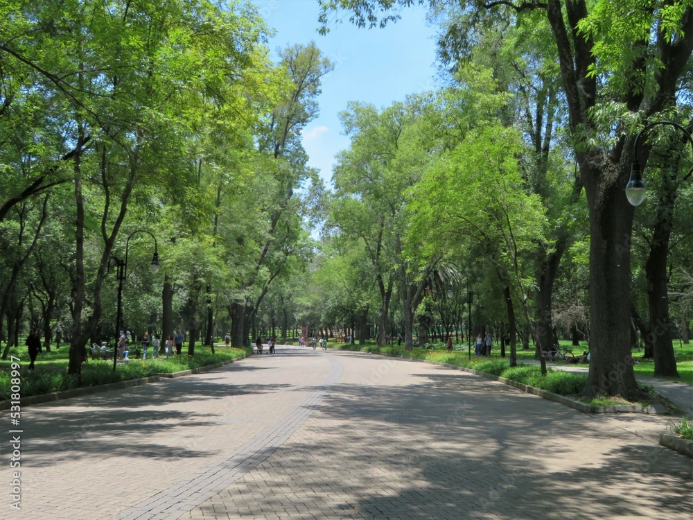 Chapultepec park in Mexico city