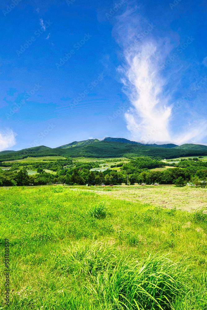 「キャベツ畑の中心で妻に愛を叫ぶ」イベントが行われる、群馬県の嬬恋の「愛妻の丘」付近の夏の風景