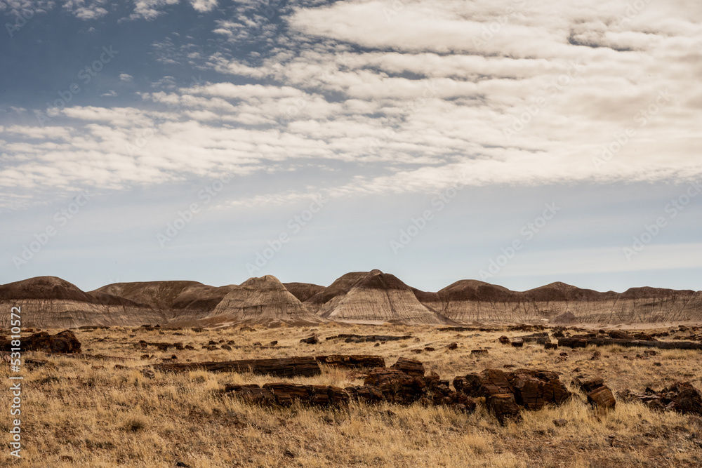 Badlands Formations and Long Logs Of Petrified Wood Under Cloudy Sky