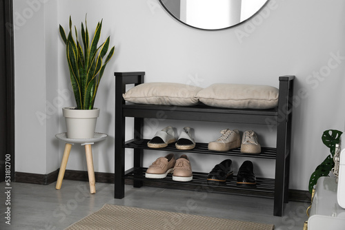 Hallway interior with shoe storage bench and houseplant