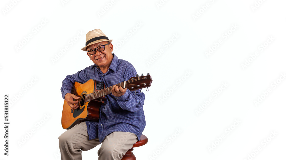 Studio portrait of senior man with hat playing guitar on white background and space for character
Studio portrait of senior man with hat playing guitar on white background and space for character