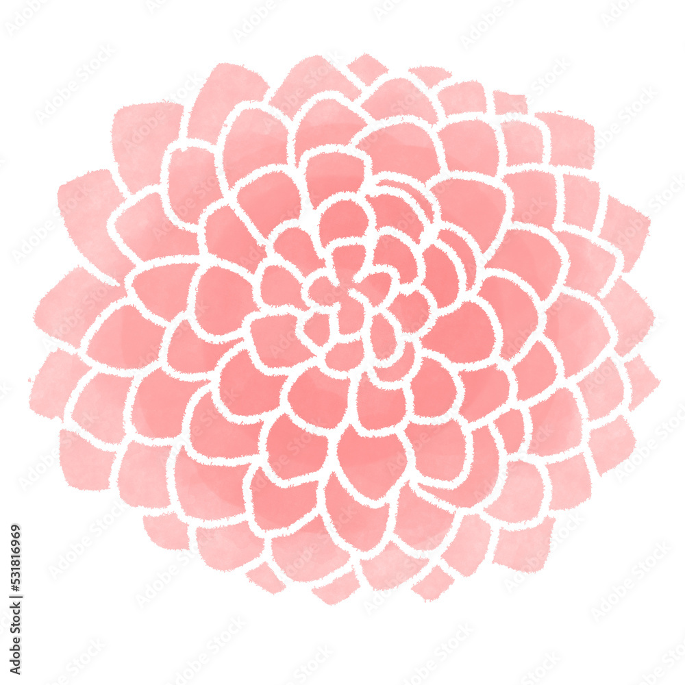 菊の飾り 菊の飾り