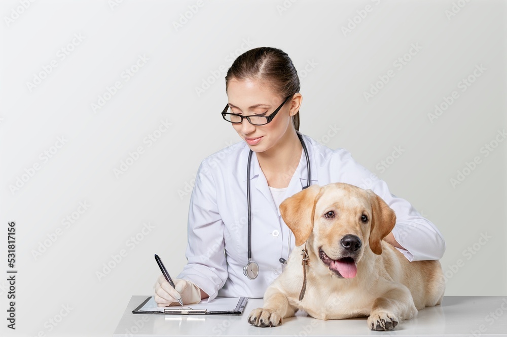 Young veterinarian doctor with cute puppy in veterinary clinic