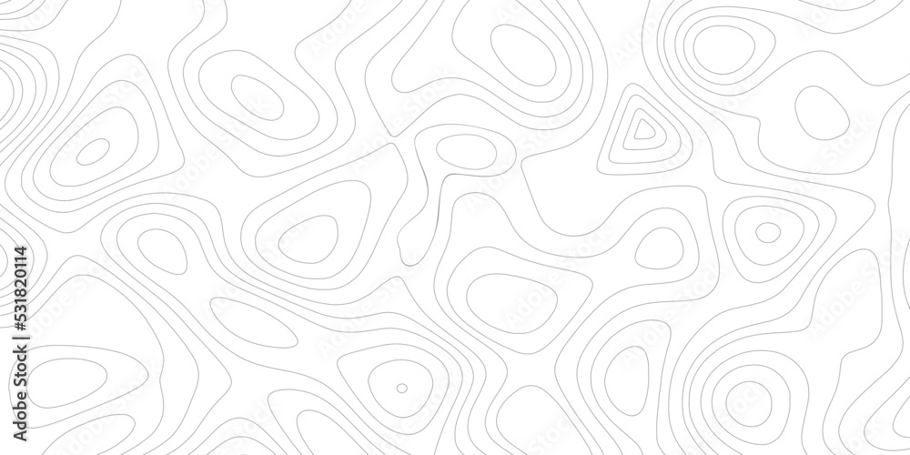 Background of the topographic map. Topographic map lines, contour background. Geographic abstract grid. vector illustration.